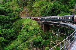Kuranda village tour